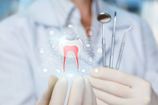 Trusted Trail Creek, IN Holistic Dental Care Services Experts