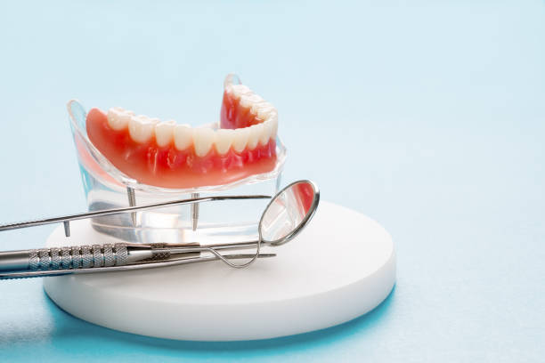 Best Traditional Braces  in Trail Creek, IN